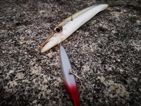 ルアー変われど釣れるのは同じオオメカマス