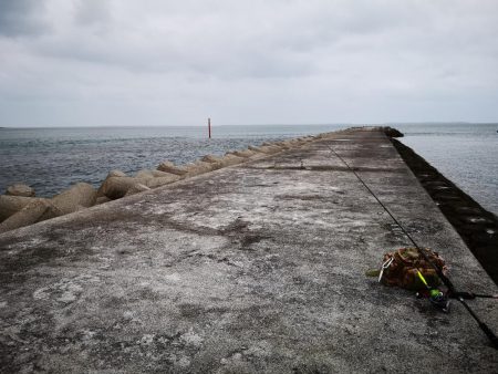 強風の激シブでオオメカマス