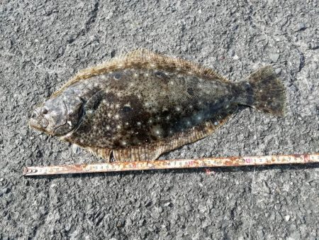 爆風の加太大波止