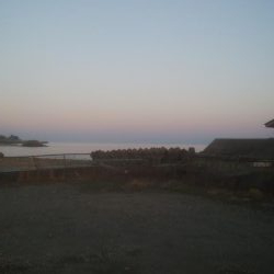 はじめての場所でヤリイカ・ヒイカ