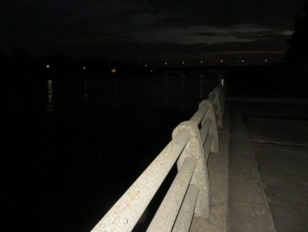 バチは抜けているというものの・・・