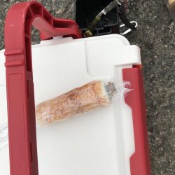 ライトショアジギング