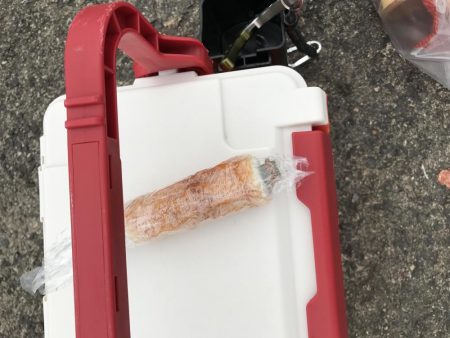 ライトショアジギング