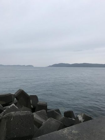 イワシがデカイ