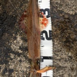 ビックリした！ぞ