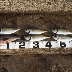 遠征！えんせい！ENSEI!!