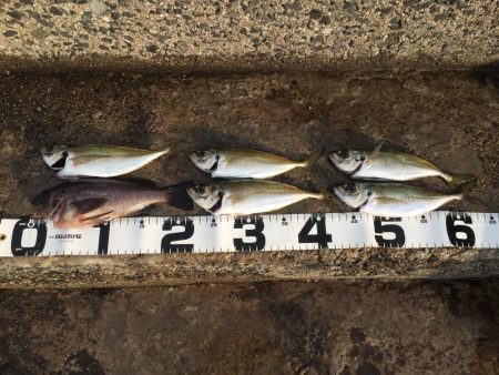 遠征！えんせい！ENSEI!!