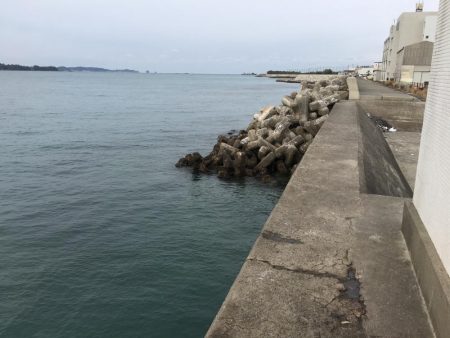 アジサビキの地合いは午後5~6時