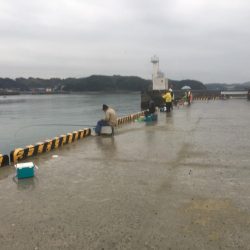 地合いが少し早くなった