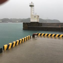 雨中のサビキ釣り