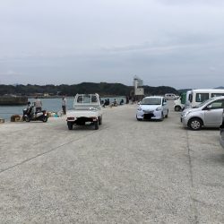 アジ28匹、サバ2匹