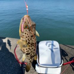 ２月なのにポカポカ釣行