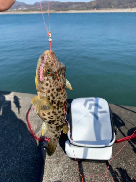 ２月なのにポカポカ釣行