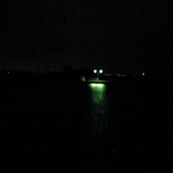 房総メバルにはまだ早いか!?