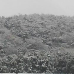 調子がいいっ！