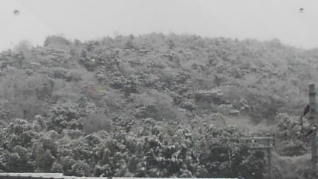 調子がいいっ！