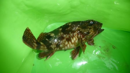 和歌山遠征も。。