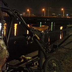 バチ抜けチェックからのチニング