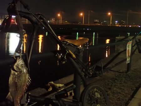 バチ抜けチェックからのチニング