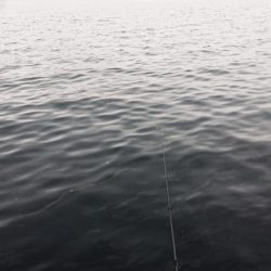 またも小雨の夕練