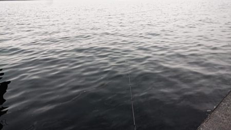 またも小雨の夕練