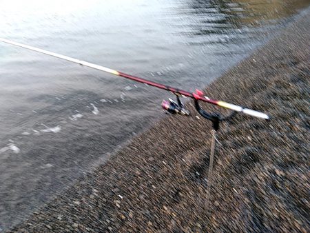 アオリイカ2杯ゲットです!!