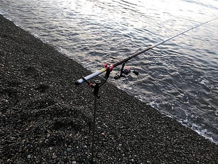 アオリイカ１杯上がりました！！