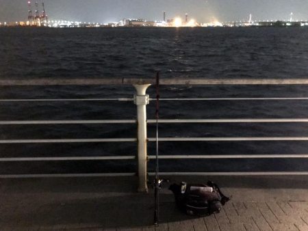 メバルプラッキング