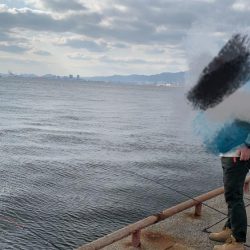 鳴尾浜臨海公園海づり広場  釣り情報
