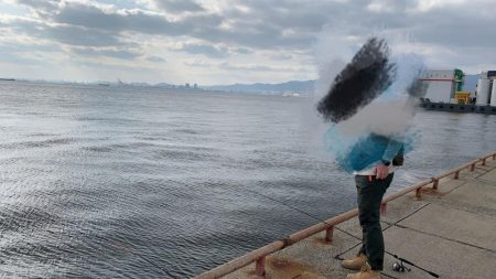 鳴尾浜臨海公園海づり広場  釣り情報