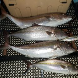 武勝丸(ぶしょうまる) 釣果