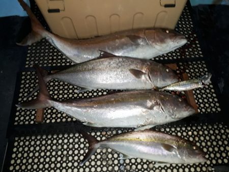 武勝丸(ぶしょうまる) 釣果