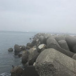 なかなかのサイズ。