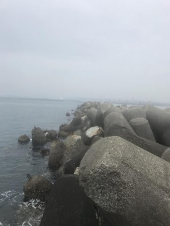 なかなかのサイズ。