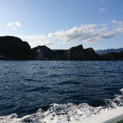 勝浦でグレ釣り