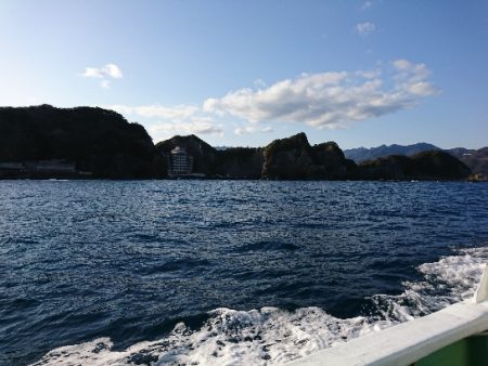 勝浦でグレ釣り