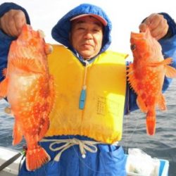 根魚釣り