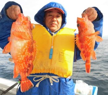 根魚釣り