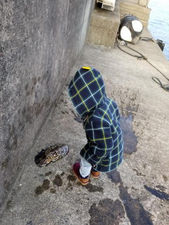 コウイカハンター