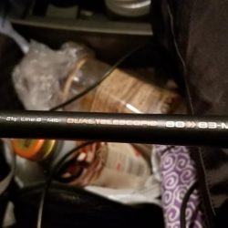 シーバスと思いきや…