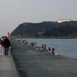 ボラ、ボラ、ボラ、人、人、人