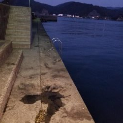 久しぶりにエギング