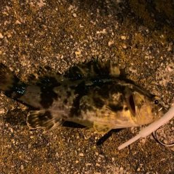 痛恨ラインブレイク