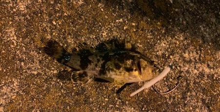 痛恨ラインブレイク