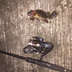 出張先の楽しみ②