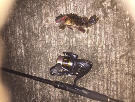 出張先の楽しみ②