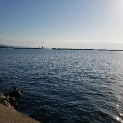 ガシラ釣り　～アジの切り身、良い♥～