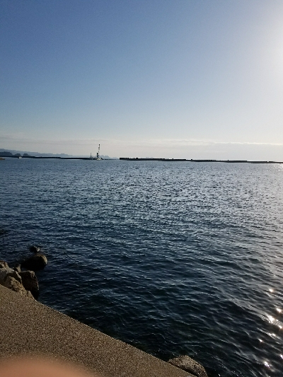 ガシラ釣り　～アジの切り身、良い♥～