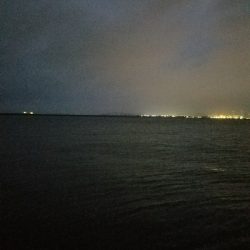 スズキ釣り ~代わりにアジ26匹~