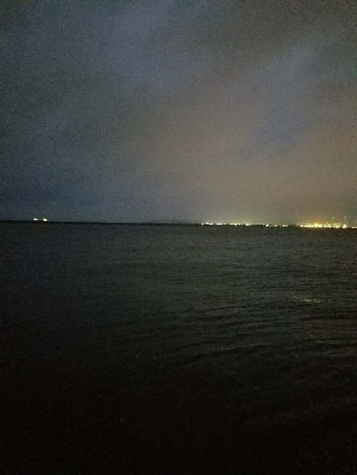 スズキ釣り ~代わりにアジ26匹~